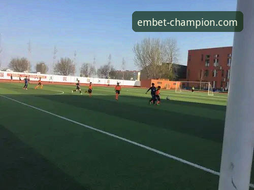 资深用户周敏亲历：解决“易倍体育官方下载链接安装失败”的实战心得